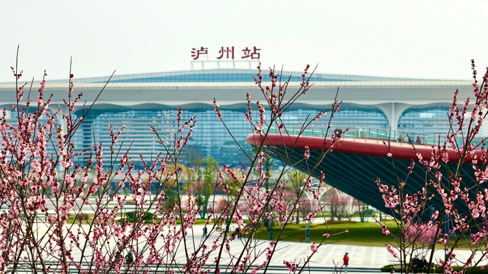 BB贝博艾弗森园林绿化维护